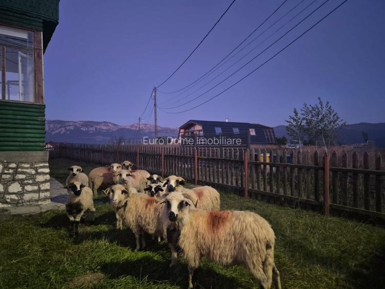 Exclusivitate- Casă rustică de închiriat în Fundata – Priveliște spectaculoasă - 25