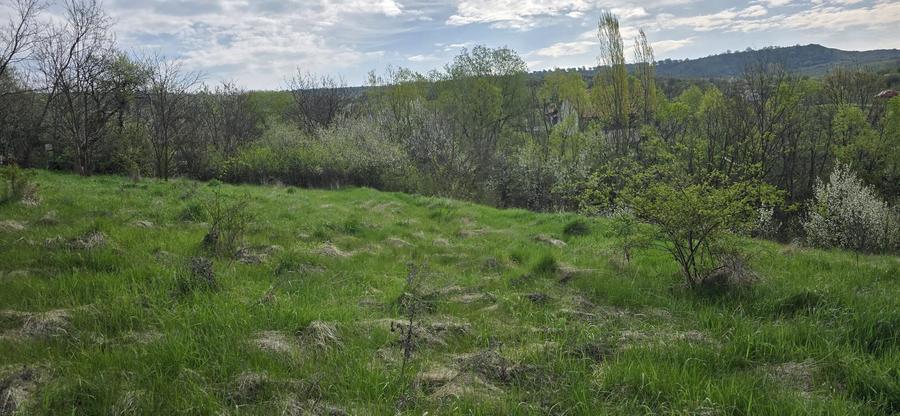 Teren cu vedere panoramica de vânzare în Chinteni