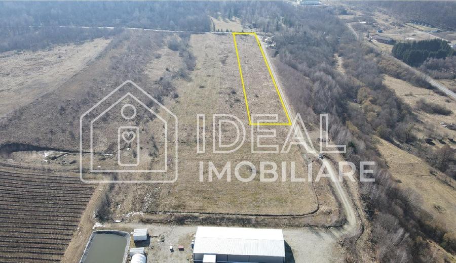 Teren extravilan 6.500 mp – Cârțișoara | Comision 0%