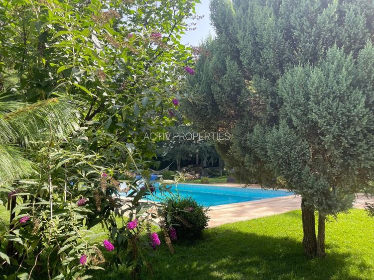 Resedinta deosebita,renovata 2023,P+2,garaj 2 loc, sauna, piscina, teren 1130 mp - 18
