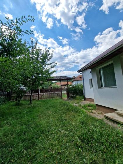 Balilesti - Stradal, casa spatioasa, 4600 mp teren intravilan - curte spatioasa