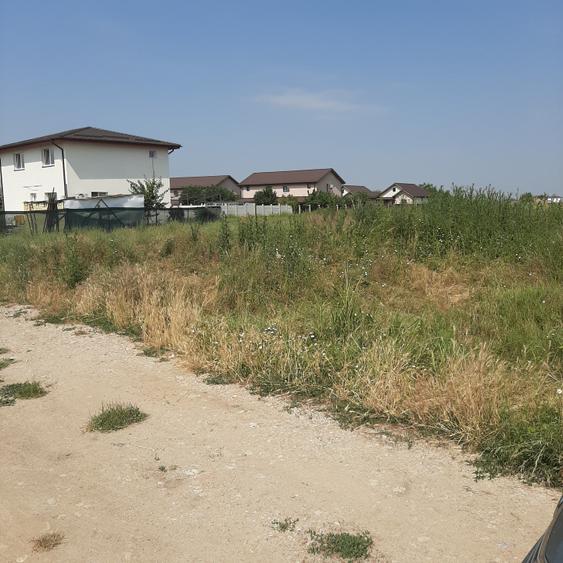 Teren 585 mp, intravilan, in Domnesti catre Teghes, din str. Curtea Domneasca