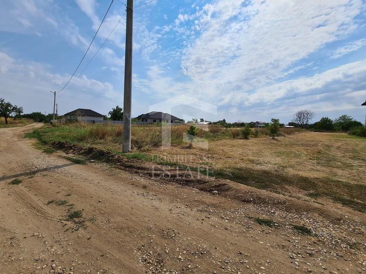 Teren intravilan Domnești-Strada Zori de Zi-Sos. Independentei