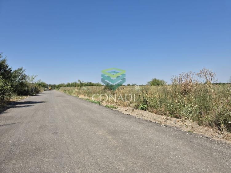 Teren de vanzare cu autorizatie pentru 2 hale - Otopeni - 10.000 mp
