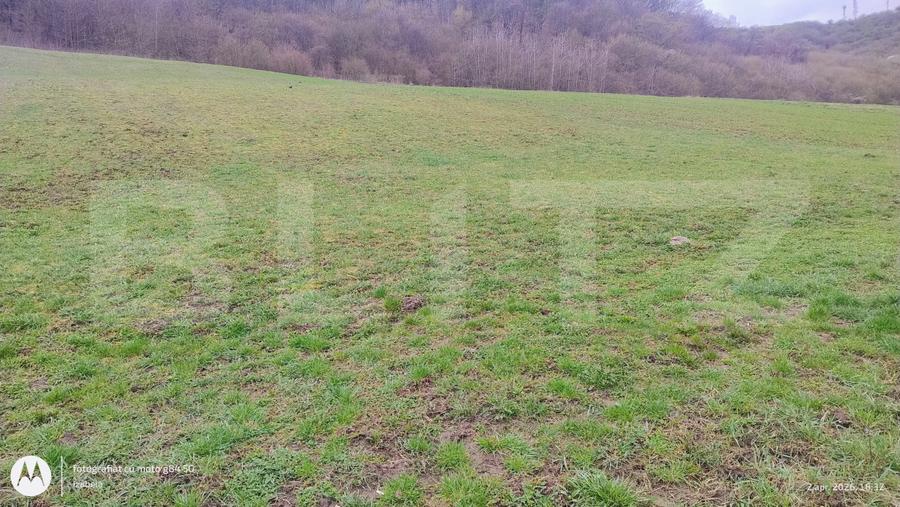 Teren superb 2.500 mp în Nicula – liniște, natură și priveliște de vis!