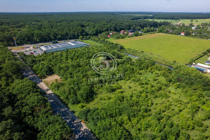 Teren 5.515 mp lângă Lidl Snagov – Ieșire la Lacul Snagov - 11