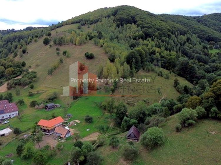 Teren de investiție în Moieciu, lângă Castelul Bran – 11.381 mp, vedere Bucegi - 13