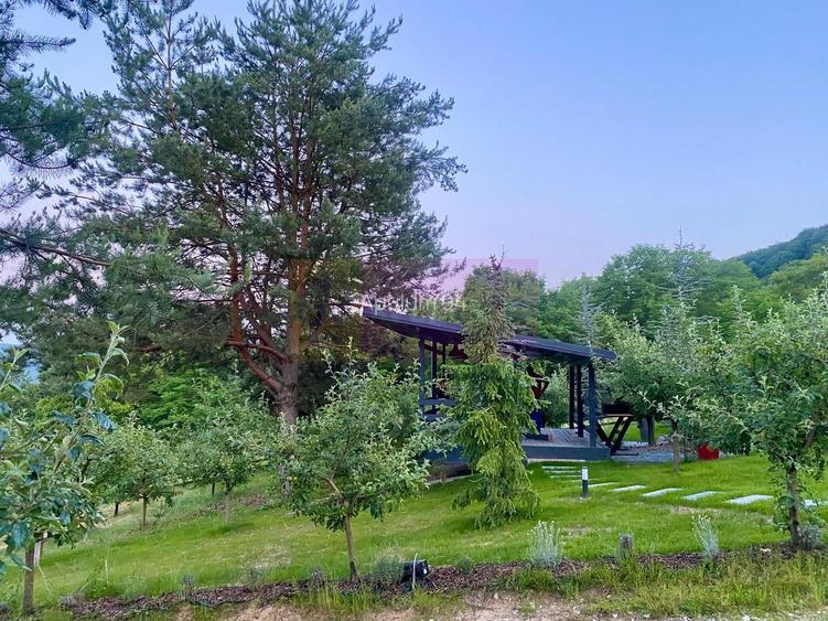 Cabane A frame + Teren 6000 mp |  Proprietate deosebita, NOU - 40