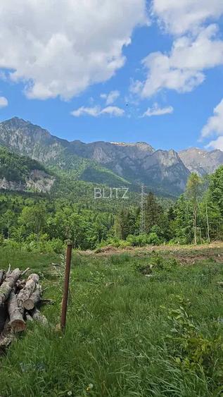 Teren intravilan, 1.724 mp, zona Sinaia - 2