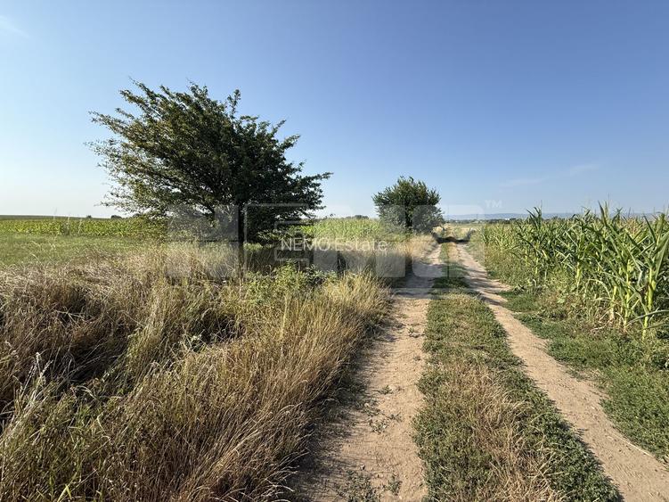 Teren extravilan | Rădăuți | 600 m de centură | 20 m front