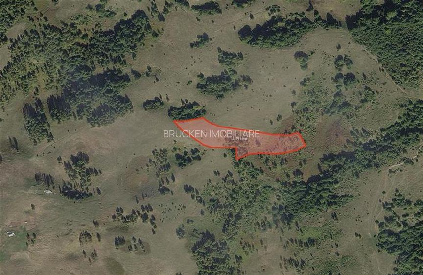 Portofoliu funciar de peste 10 hectare | Izbuc - Carpinet | Jud. Bihor - 4