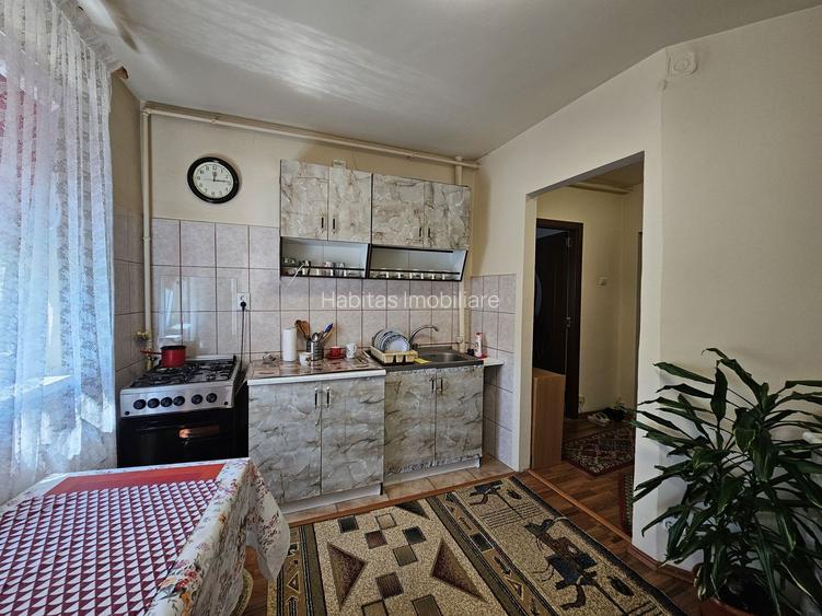 Apartament cu 2 camere, decomandat, mobilat, zona Campului - 8