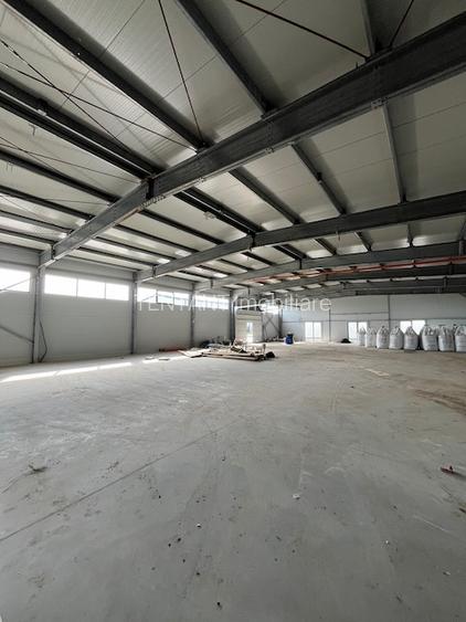 Hala productie, depozitare in comuna Moara Vlasiei, zona industriala, utilitati - 3