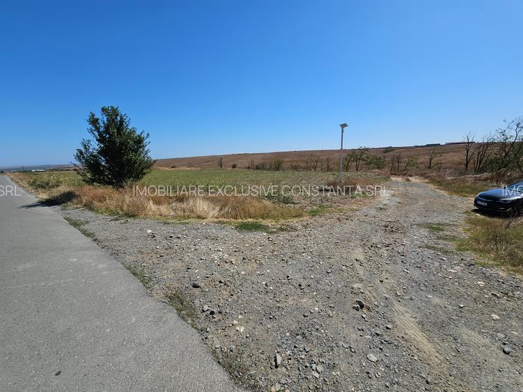 Teren Extravilan 10000 Mp Sibioara Constanta - 7