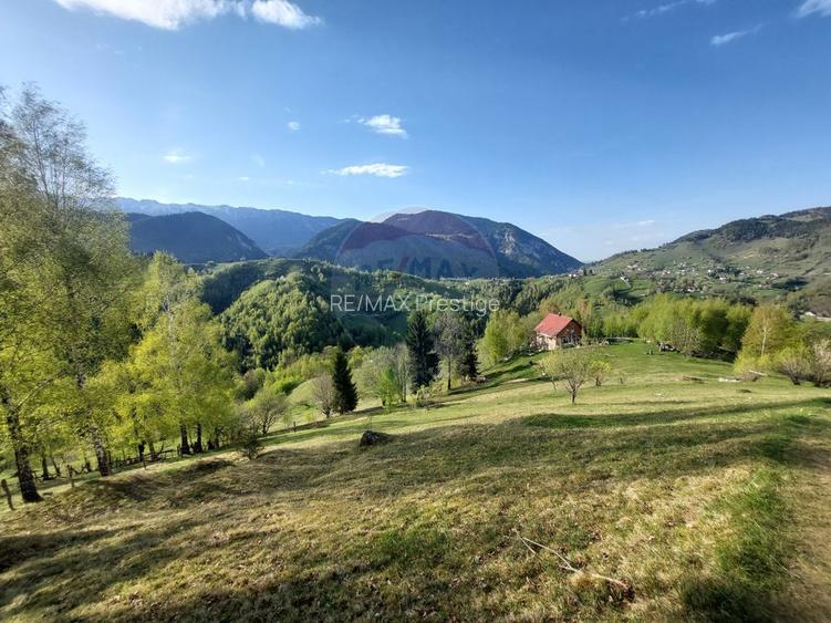 Teren intravilan panoramic în Peștera, Moieciu - 11048 mp - 2