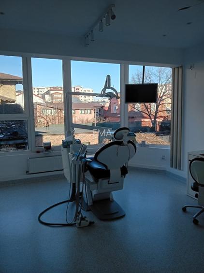 Proprietar vand doua vile in zona Calea Plevnei - 10