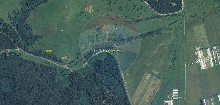 Teren 10,000mp Codlea / DN 1 - 4