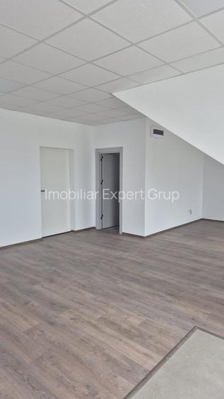 Spatiu depozitare si productie Soseaua de centrua Chitila - 21