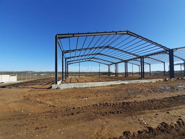 Hale de vanzare in Afumati - 8