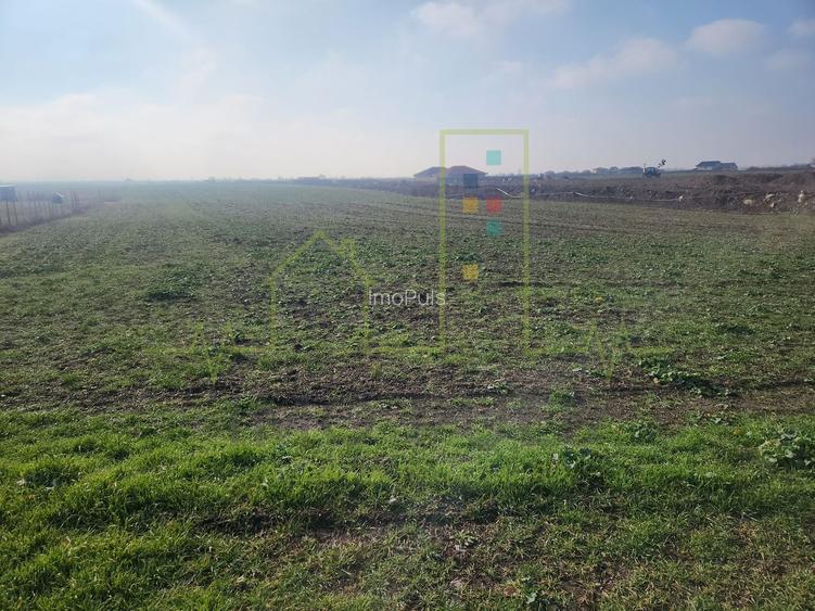 Teren agricol in intravilanul comunei Sacalaz. - 3