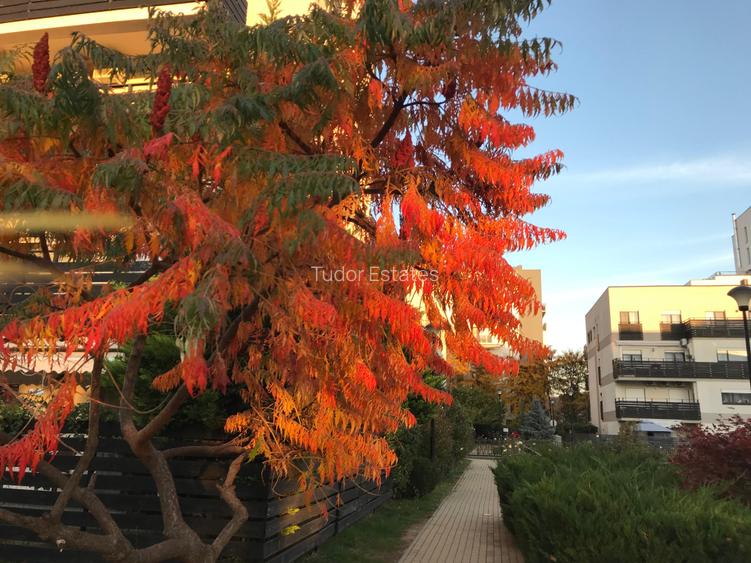 Apartament de inchiriat in complex cu piscina, gym si loc de joaca pentru copii - 6