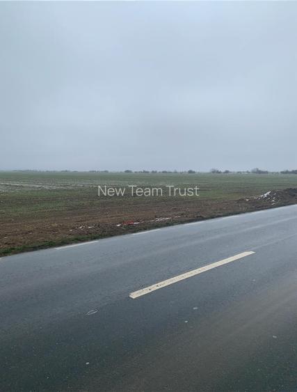 Vanzare Teren Otopeni 23 August-  Tunari - Dimieni - Tamasi - 7