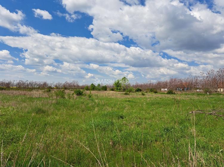 Casa in Mihailesti complex Paradise Valey - 7