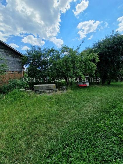 Balilesti - Stradal, casa spatioasa, 4600 mp teren intravilan - curte spatioasa - 21