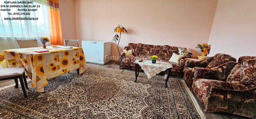 Proprietate Slobozia-Roznov, casa mansardata, teren si livada - 2