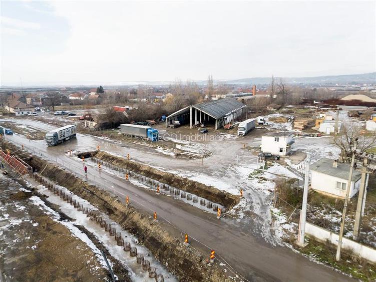 RECO . Proprietate industriala Tileagd . - 15