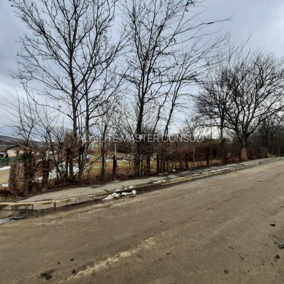 Oportunitate de investitie, teren intravilan Husi, 10435 mp - 5