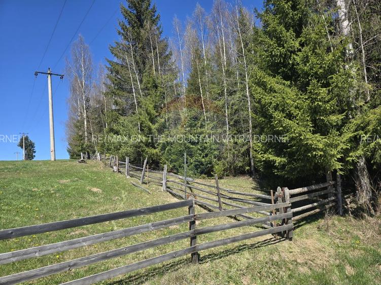 Teren 18,580mp Saru Dornei / DJ sat Neagra Sarului - 7