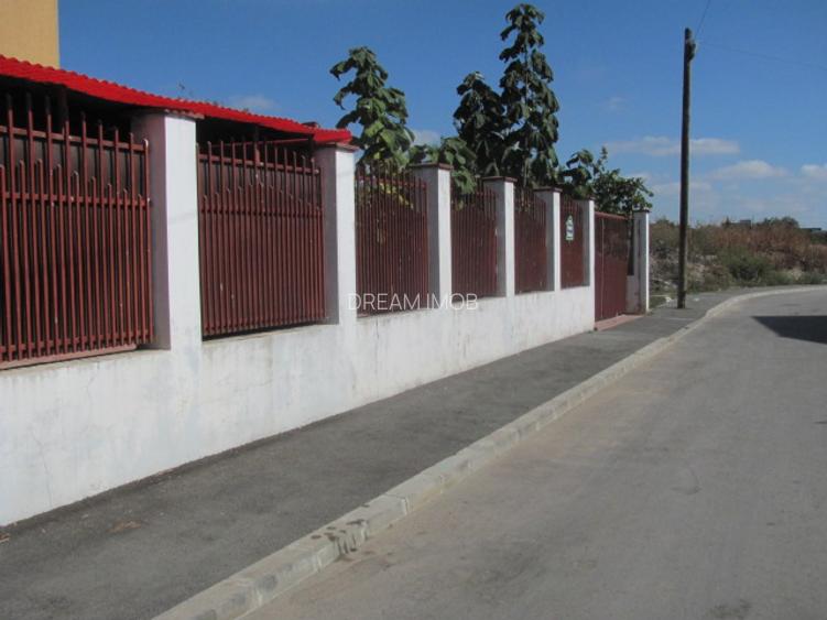 Bragadiru - Zona Haliu, Stradal - 6