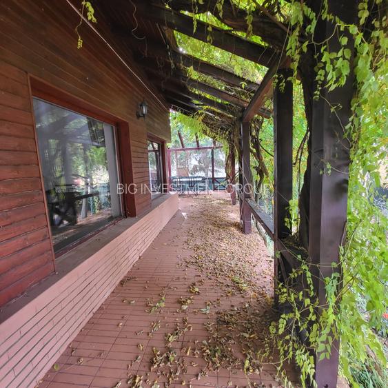 Vila lac snagov in cea mai buna portiune a lacului, ponton, garaj barca, piscina - 25