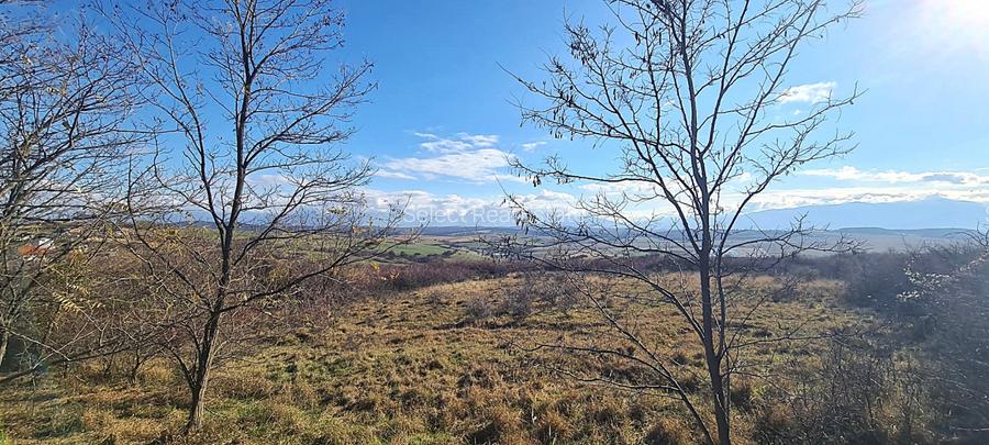 Teren Extravilan cu Vedere spre Munti \ Sibiu - Bavaria - Daia Noua - 3