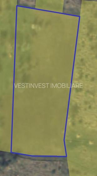 Teren intravilan Dealuri Oradea 3649 mp - 4