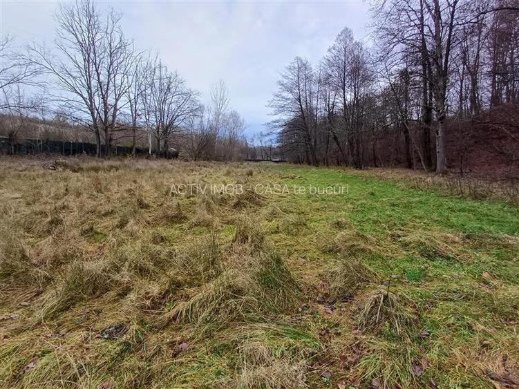 Resita, Teren Drept Intravilan, Langa Prau si Drum, Parcelabil, 4500 Mp., 15 Eur - 7