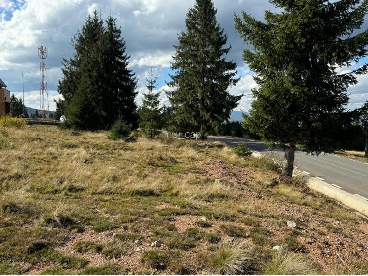 "TEREN PT CABANA ULTIME PARCELE"  - 3