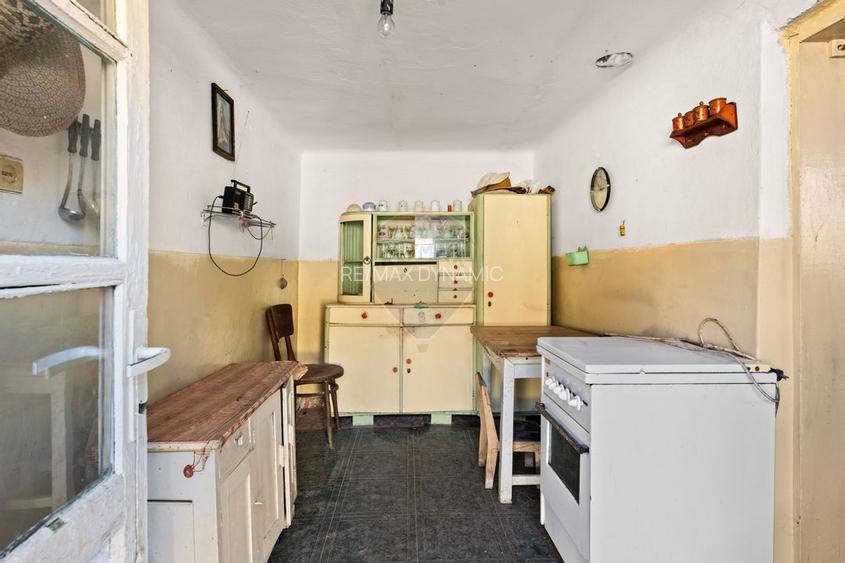 Gospodarie autentică bănățeană, cu teren generos și livadă – Frumușeni - 11