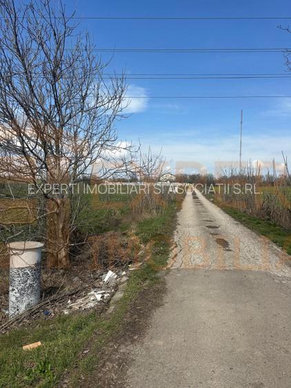 Teren, 18.000 mp, DN -Statia Meteo spre Valu lu Traian - 4