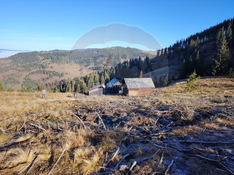 Teren 31,461mp Panaci / Prelungirea Ialovita - 12