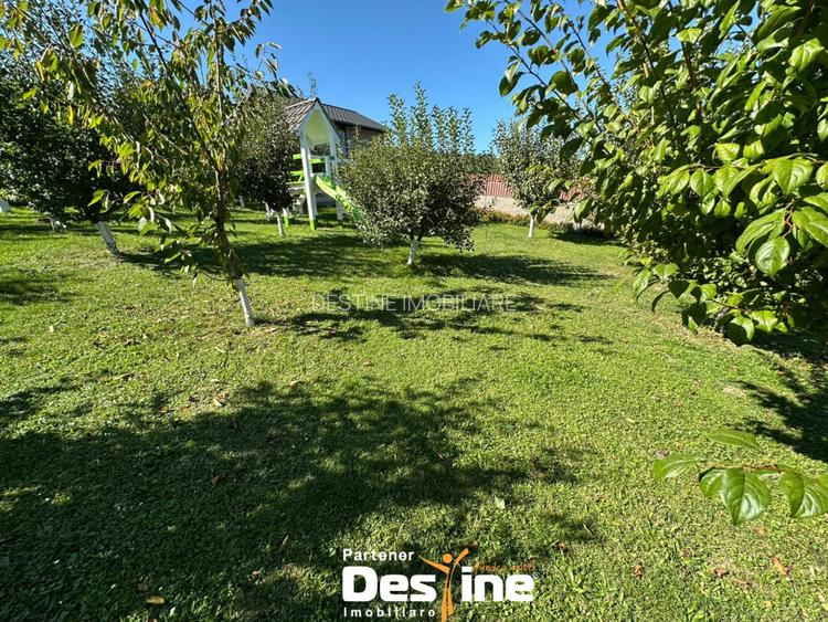 Proprietate spatioasa cu potential turistic in Bucovina Mica – Tatarusi, sat Uda - 4