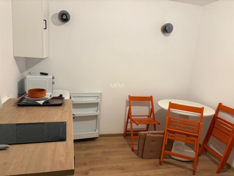 Ultracentral, langa parc, curata, utilata complet - 9