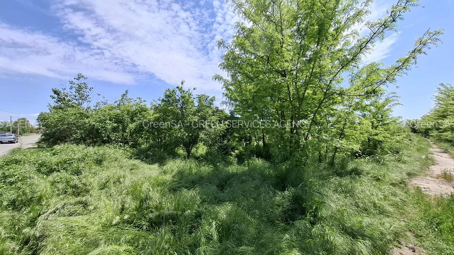 com. Buturugeni, sat Posta, stradal DJ 412A, intravilan, 2720 mp - 11