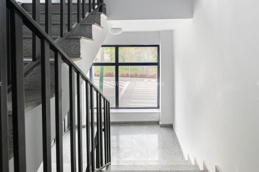 Spatiu comercial - zona Brotacei - 3