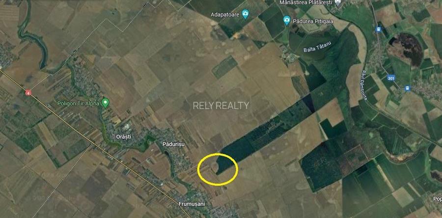 Vanzare teren Frumusani, 7.961 mp, D: 175 m, langa padure - 3
