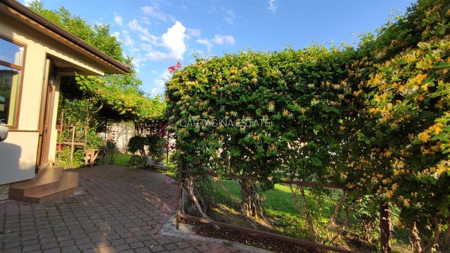 Vila individuala S+P+1+M - Matei Millo   810mp teren - 4