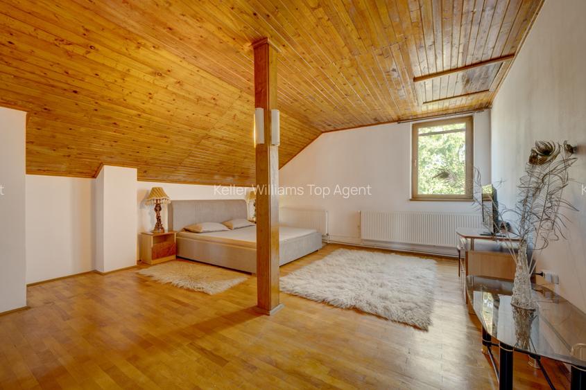 Casa de vacanta cu teren 5394 mp, Pucioasa, Dambovita - 8