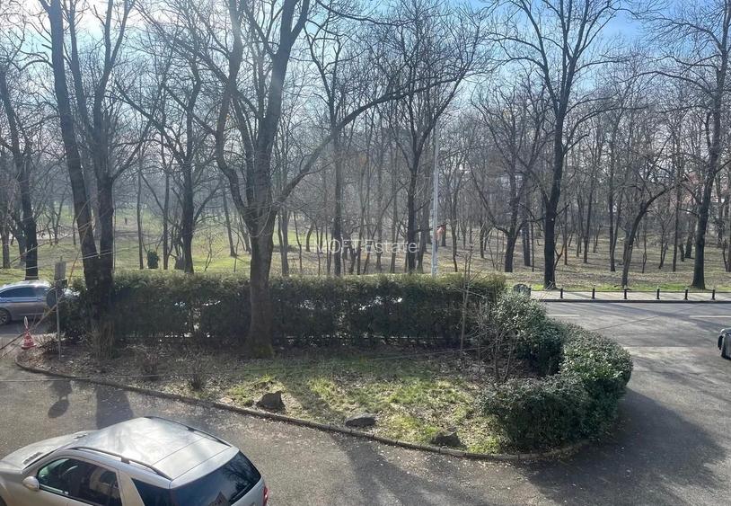 Vila de inchiriat Floreasca vis a vis de Parc - 16