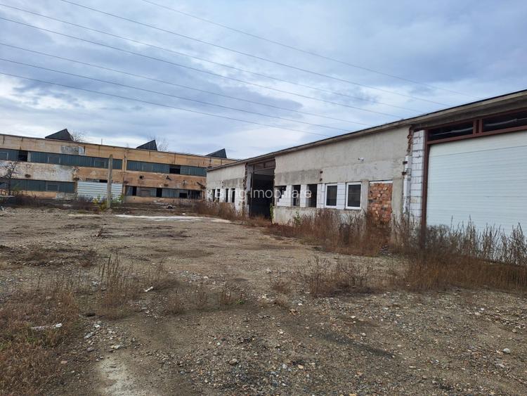 Hale de vanzare cu o suprafata totala de 5440 mp - 2